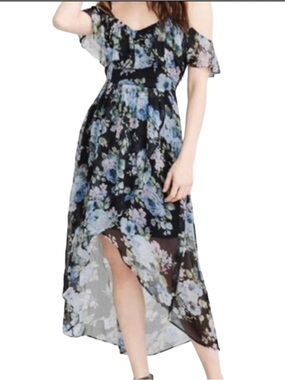 Abetcrombie & Fitch Sheer Black Floral Maxi Dress with Blue Roses
